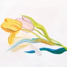 Tűfilc 0.5mm, Winsor&Newton Fineliner / Fekete -  (1 db)