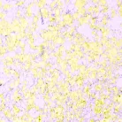 Fémes hatású pelyhek 50 ml, Morning Blush / Cosmic Shimmer Aurora Flakes (1 db)