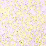   Fémes hatású pelyhek 50 ml, Morning Blush / Cosmic Shimmer Aurora Flakes (1 db)