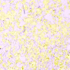   Fémes hatású pelyhek 50 ml, Morning Blush / Cosmic Shimmer Aurora Flakes (1 db)