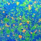 Fémes hatású pelyhek 50 ml, Enchanted Forest / Cosmic Shimmer Aurora Flakes (1 db)