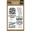 Echo Park Szilikonbélyegző, Clear Stamps - You Did It - Graduation (1 db)