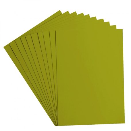 Alapkarton 10 ív - A4 - Fern - Páfrány - Cardstock paper smooth