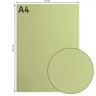 Alapkarton 10 ív - A4 - Anise - Ánizs - Cardstock paper smooth