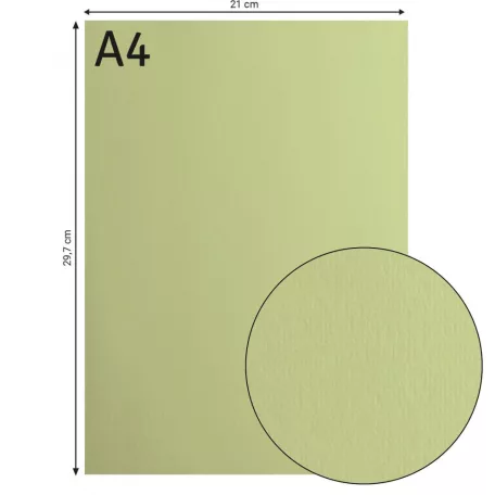 Alapkarton 10 ív - A4 - Anise - Ánizs - Cardstock paper smooth