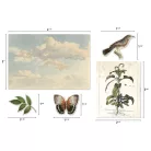 Tim Holtz Díszítőelem - Layers Organic  - Idea-ology (1 csomag)