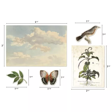 Tim Holtz Díszítőelem - Layers Organic  - Idea-ology (1 csomag)