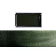 Kuretake Gansai Tambi Akvarell festék - Green Gray (1 db)