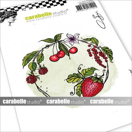 Carabelle Studio Gumibélyegző A6 - Cercle Fruité - Cling Stamp (1 db)