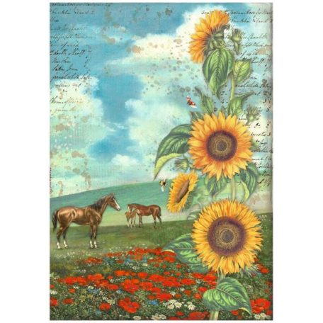 Stamperia Rizspapír A4 - Sunflower Art - Horses - Rice Paper (1 ív)