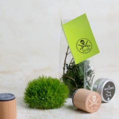 Colop Gumibélyegző  - Yo Ho - Woodies Rubber Stamp (1 db)