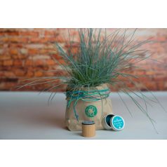   Colop Gumibélyegző  - Octopus - Woodies Rubber Stamp (1 db)