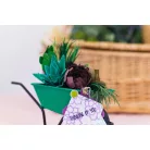 Vágósablon - Neon Breakers - Metal Dies (1 csomag)