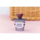 Vágósablon - Merry Maiden - Metal Dies (1 csomag)