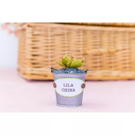 Vágósablon - Lila China - Metal Dies (1 csomag)