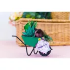 Vágósablon - Jade - Metal Dies (1 csomag)