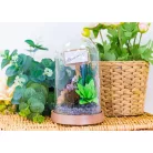 Vágósablon - Jade - Metal Dies (1 csomag)