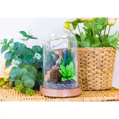 Vágósablon - Jade - Metal Dies (1 csomag)