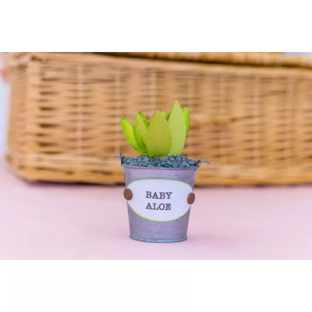 Vágósablon - Baby Aloe - Metal Dies (1 csomag)
