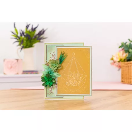 Vágósablon - Baby Aloe - Metal Dies (1 csomag)