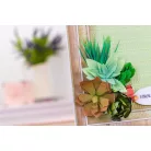 Vágósablon - Baby Aloe - Metal Dies (1 csomag)