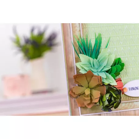 Vágósablon - Baby Aloe - Metal Dies (1 csomag)