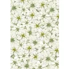 Ciao Bella Vellum papírkészlet A4 - Sparkling Christmas - Vellum Paper Patterns (1 csomag)