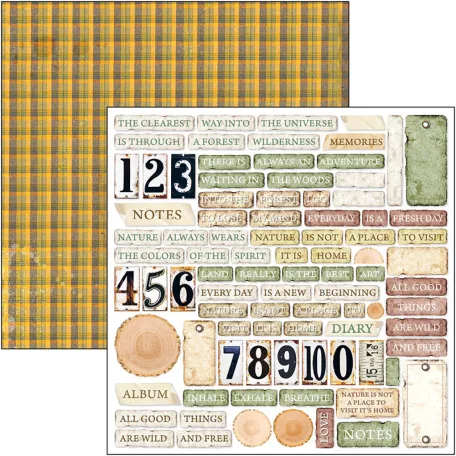 Ciao Bella Scrapbook papírkészlet 12" (30 cm) - Into the Wild - Patterns Pad (8 lap)