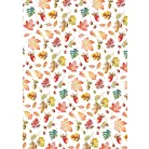 Ciao Bella Vellum papírkészlet A4 - Into the Wild - Vellum Paper Patterns (1 csomag)