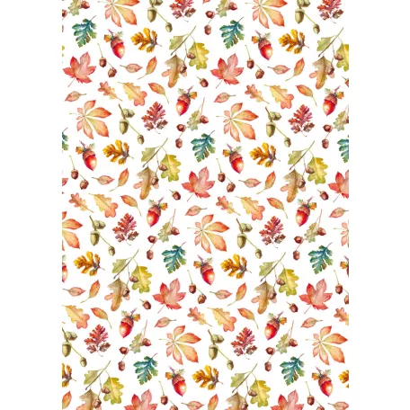 Ciao Bella Vellum papírkészlet A4 - Into the Wild - Vellum Paper Patterns (1 csomag)