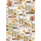 Ciao Bella Vellum papírkészlet A4 - Into the Wild - Vellum Paper Patterns (1 csomag)