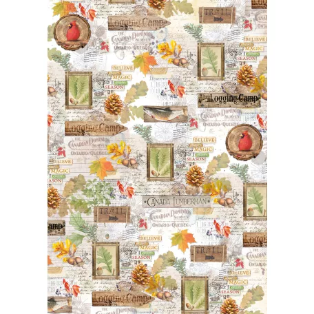 Ciao Bella Vellum papírkészlet A4 - Into the Wild - Vellum Paper Patterns (1 csomag)