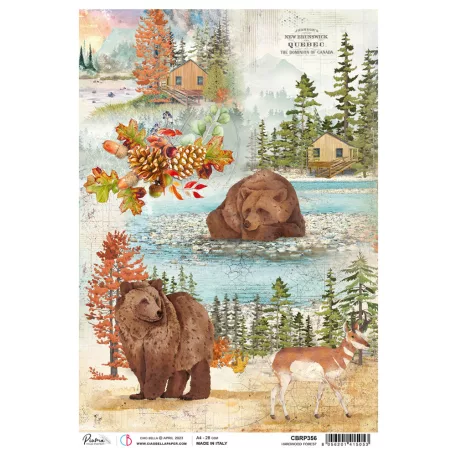 Ciao Bella Rizspapír A4 - Harwood forest - Into the Wild - Rice Paper (1 ív)