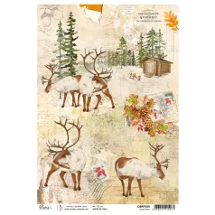   Ciao Bella Rizspapír A4 - Creek park - Into the Wild - Rice Paper (1 ív)