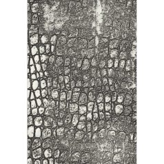  SIZZIX 3D Domborító mappa 666296 - Reptile - Tim Holtz - 3-D Textured Impressions Embossing Folder (1 csomag)