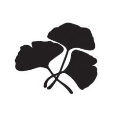   Aladine Viaszpecsét fej 20 mm - Ginko - Ginko - Wax Seal (1 db)