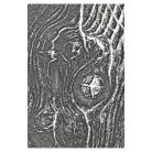 SIZZIX 3D Domborító mappa 666297 - Woodgrain - Tim Holtz - 3-D Textured Impressions Embossing Folder (1 csomag)