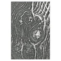   SIZZIX 3D Domborító mappa 666297 - Woodgrain - Tim Holtz - 3-D Textured Impressions Embossing Folder (1 csomag)