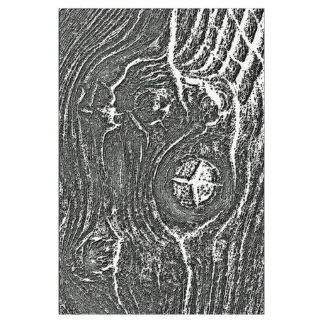 SIZZIX 3D Domborító mappa 666297 - Woodgrain - Tim Holtz - 3-D Textured Impressions Embossing Folder (1 csomag)