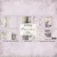 Papírkészlet - 12" (30 cm) - Provence - Reprint Paper Pack (10 ív)