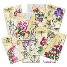   Decorer Papírkészlet 7x10.8 cm - Between the Lines -  - Scrapbook Paper (24 ív)