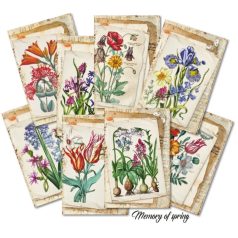   Decorer Papírkészlet 7x10.8 cm - Memory of Spring - Scrapbook Paper (24 ív)