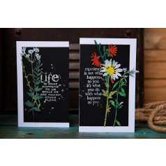   SIZZIX vágósablon 666565 - Vault Wildflowers - Tim Holtz - Thinlits Die Set  (1 csomag)