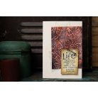 SIZZIX vágósablon 666564 - Vault Scribbly Butterfly - Tim Holtz - Thinlits Die Set  (1 csomag)