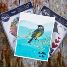 SIZZIX vágósablon 666566 - Vault Lovebirds - Tim Holtz - Thinlits Die Set  (1 csomag)