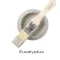Fusion Mineral Paint bútorfesték Eucalyptus 500 ml