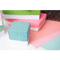   Sizzix Snowberry 3D Domborító mappa A5 3D Textured Impressions  (1 db)