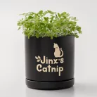 Cricut Joy Xtra Smart Vinyl Öntapadós fólia - visszaszedhető Removable 9.5x12 Inch Matte Classics Sampler (3 ív)