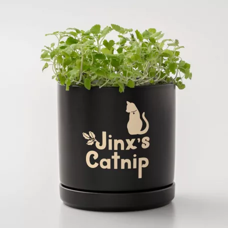 Cricut Joy Xtra Smart Vinyl Öntapadós fólia - visszaszedhető Removable 9.5x12 Inch Matte Classics Sampler (3 ív)