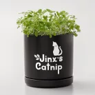 Cricut Joy Xtra Smart Vinyl Öntapadós fólia - visszaszedhető Removable 9.5 Inch x 3 ft Matte White (1 ív)